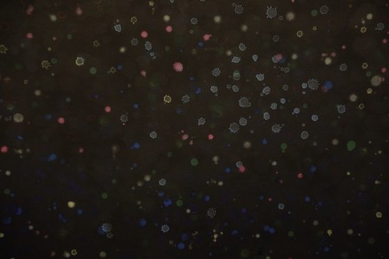 从微观到宏观的生命秩序──Systemic《大观》──陈威汕画展