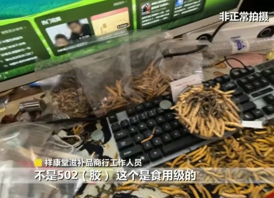 拚盘)无良商家卖假冬虫夏草 有毒伪品冒充、胶水黏合 商家:年销20万根