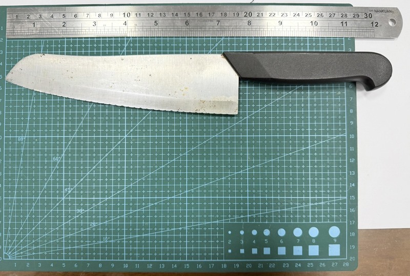 男子凌晨持刀欲闯台总统府 警压制逮捕送办