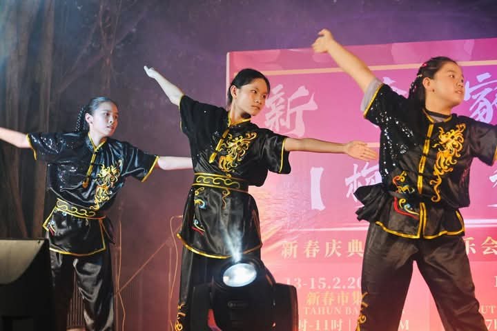 霹:学海学记|校园报道|主文|社区新春庆典 华中生参演经历深刻