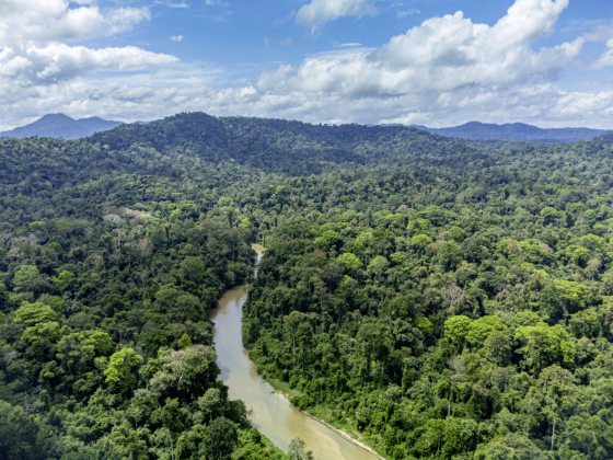 The Habitat Foundation-Enhance awareness and participate in conservation efforts to make ecological protection a shared responsibility of society-14