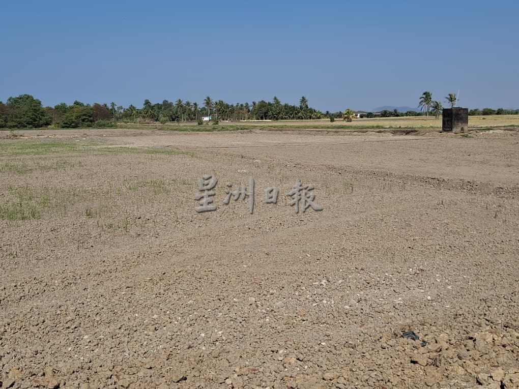 (全国版)北马高温:巴东得腊县内鱼塘 逾300条鱼翻肚死