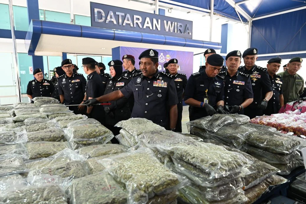 已签发/大规模扫毒获新线索破毒窝·捕7人起千万令吉大麻