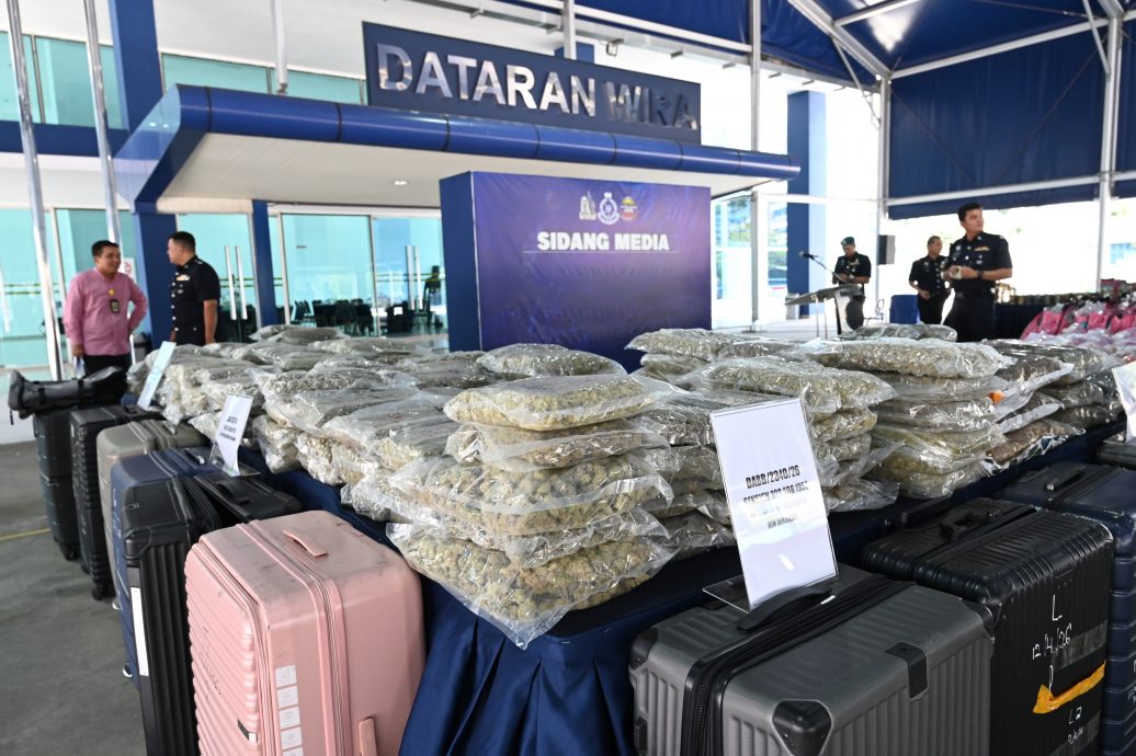 已签发/大规模扫毒获新线索破毒窝·捕7人起千万令吉大麻