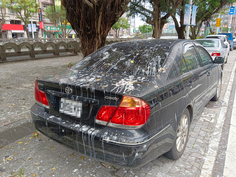 拼盘/田寮河畔停车遭鸟粪袭击 台湾基隆市预防性涂销车格