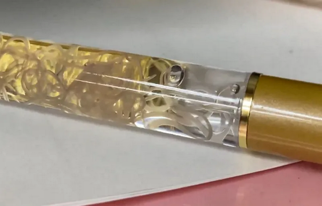 日本最毛伴手礼爆红 活体线虫笔管内疯狂蠕动!网喊:超恶