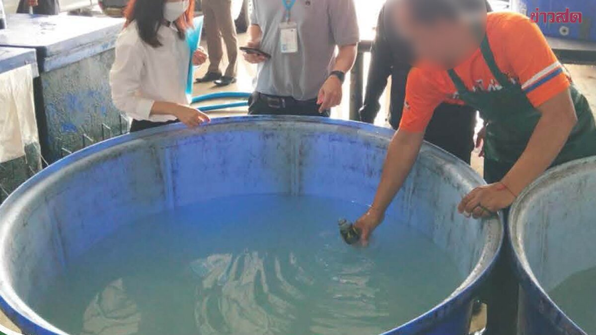 泰侦破黑心工厂 清水加香精变椰水