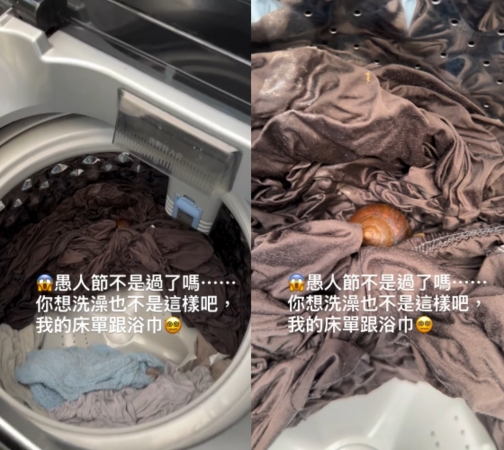 阿弟@Energy洗床单大崩溃 开洗衣机惊见蜗牛乱入