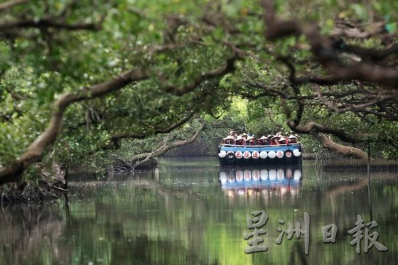 【台湾】循光而行:从嘉义灯火到台南海岸的台湾风景