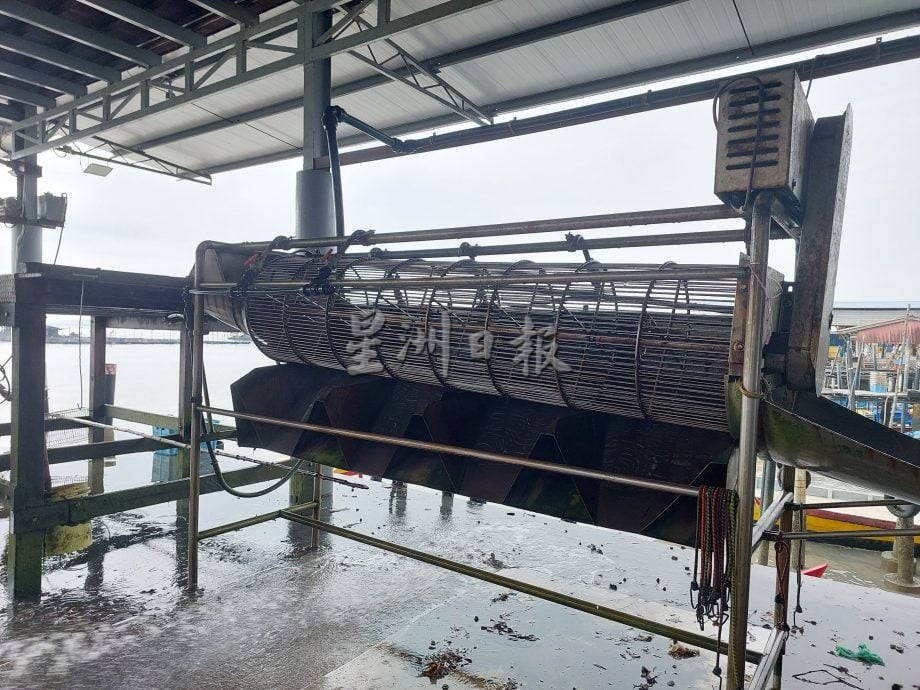 大都会(大北马)星角摄/蚶村-瓜拉牛啦 供应鲜美血蚶全马市场