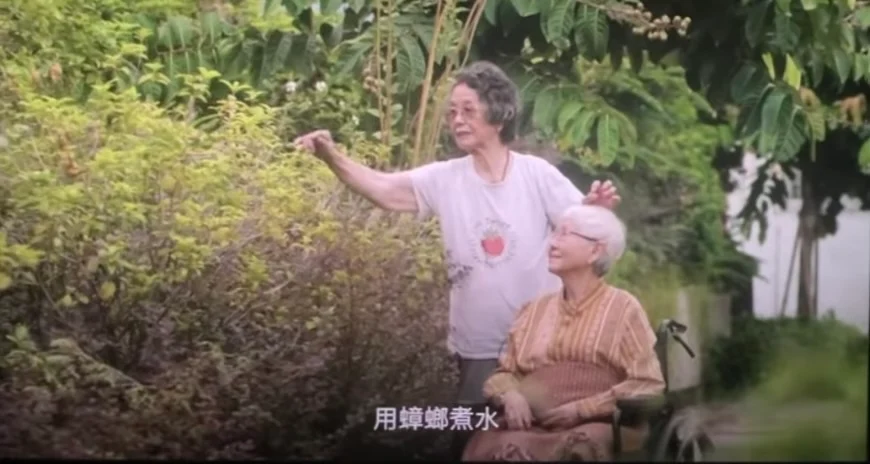《本草纲目》教你用蟑螂入药 《给阿嬷的情书》情节是真的!