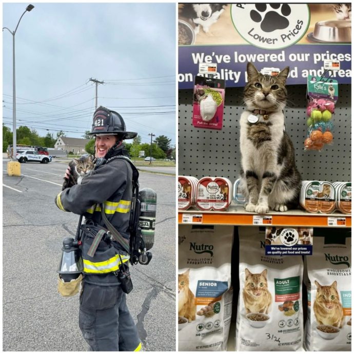 商店丙烷泄漏紧急疏散人群 消拯员折返救猫顺手抢救面团