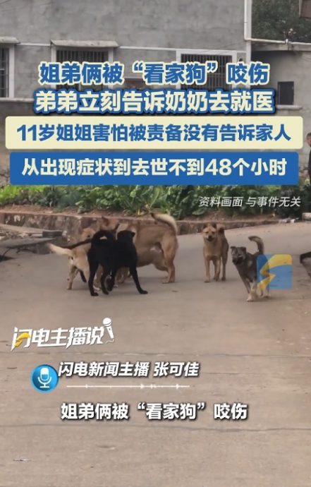 小姐弟被狗咬伤 姐怕被骂不敢说 发病不到48小时身亡