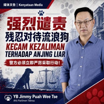 强烈谴责!从Kopi到小黄狗,虐杀生命何时终结?