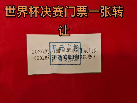 拚图)河南女子抽奖赢世界杯门票转售 网民出价29万令吉