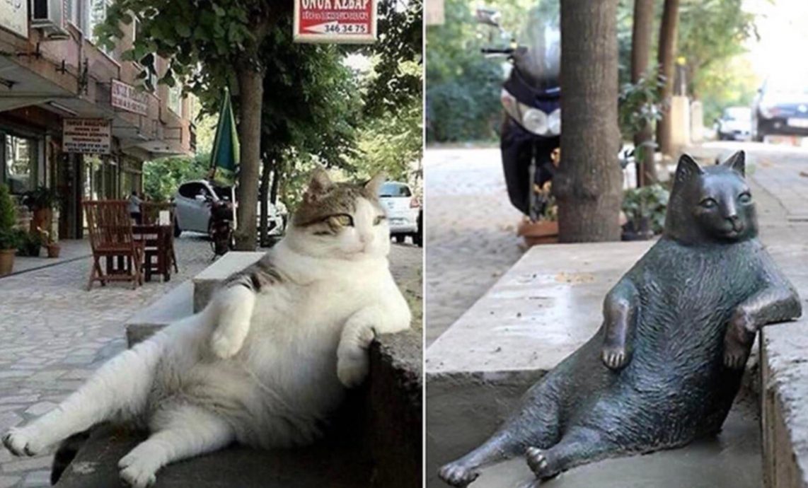拼盘 伊斯坦布尔路边猫铜像 吸引游客朝圣“猫城”