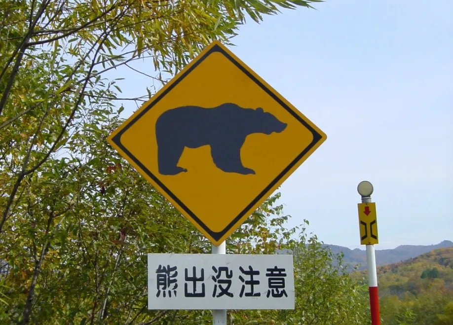 拼盘 日本去年度捕获1.4万头熊 逾99%被扑杀
