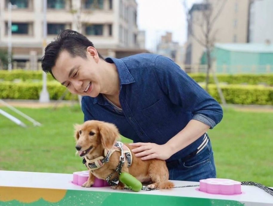 拼盘/竹北30日办宠物友善市集 邀民众携毛孩共享午后时光
