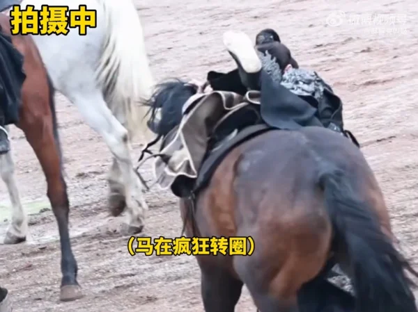 檀健次拍戏坠马 马匹转圈失控画面曝光