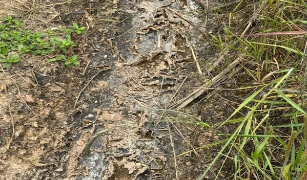 武汉现“癌症村” 585人有62人患癌 疑化工厂污染村民维权4年无果