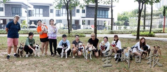 给菜狗一次被爱的机会:“Meet and Greet”人狗相亲,为浪犬找新家