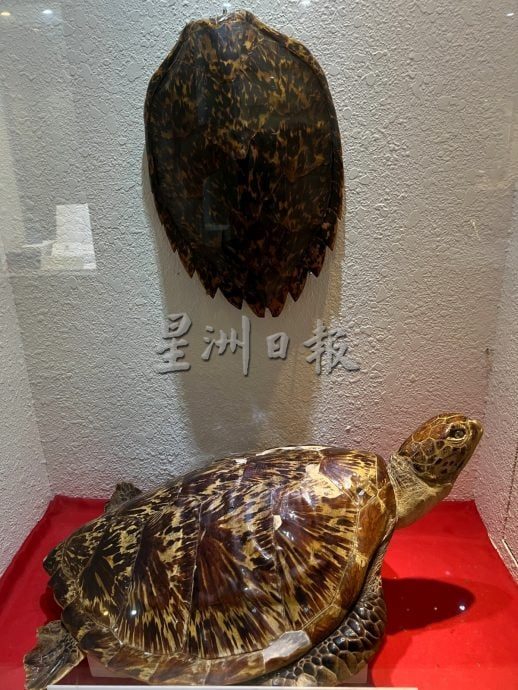 (半岛心旅行:)(各区共用稿)马来西亚皇家关税局博物馆