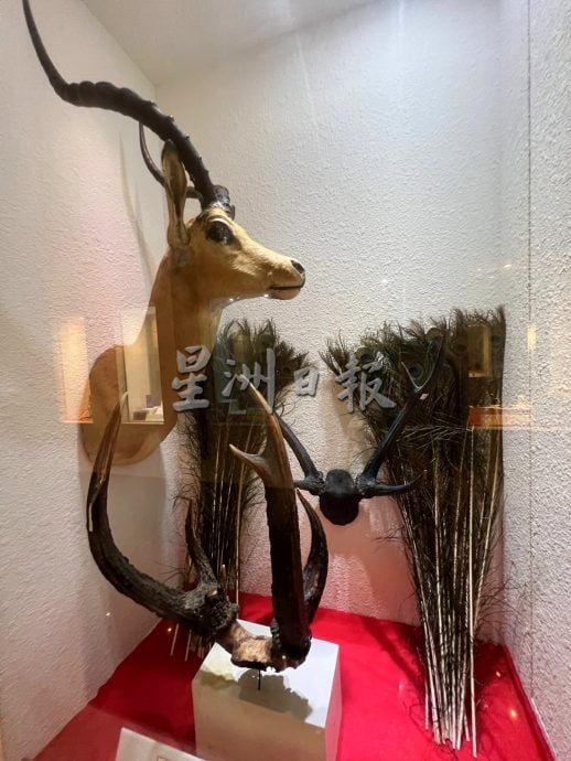 (半岛心旅行:)(各区共用稿)马来西亚皇家关税局博物馆