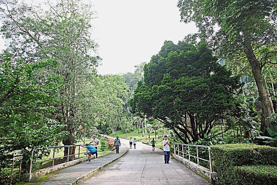 13/6//星角摄:槟城植物园