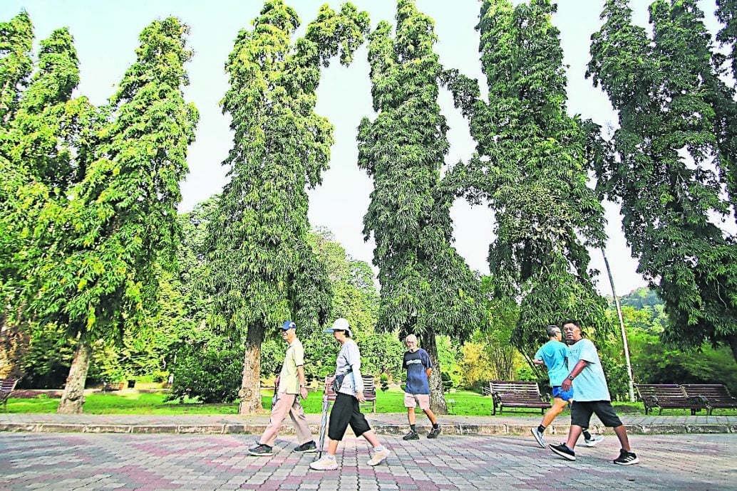 13/6//星角摄:槟城植物园