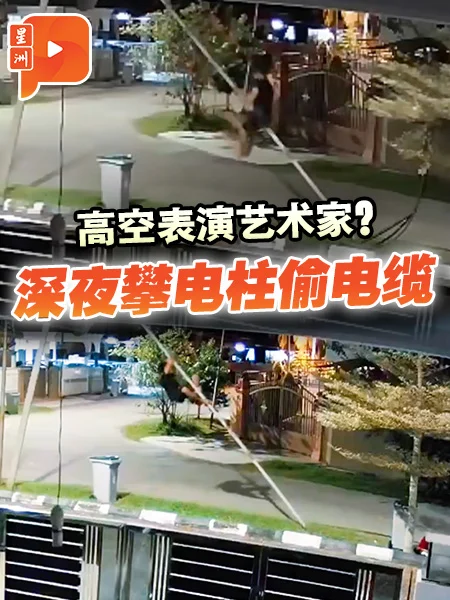 电柱成了“表演台”？男子徒手攀电柱偷电缆