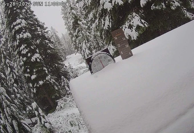 “罕见6月雪”袭美3州!32度夏天秒变冬天 一片银白画面曝