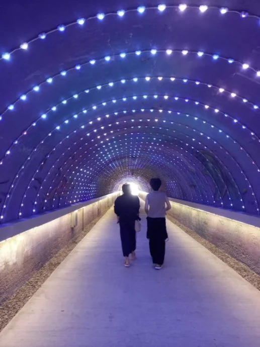 【台湾】随心自游,不追景点,一家人的南台湾慢旅行