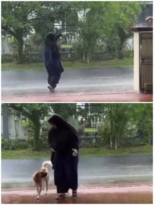 冒雨招浪浪进车库避雨 巫裔女细心帮擦身获赞