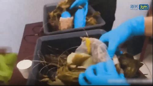 看世界/包装成“糭子状”广州白云机场截查旅客行李箱检300克大麻