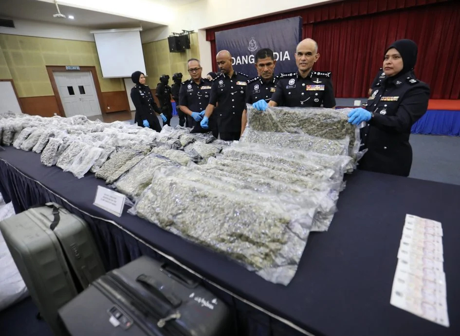 已签发//图携1373万令吉大麻花运欧·警捣破行动 捕4毒贩