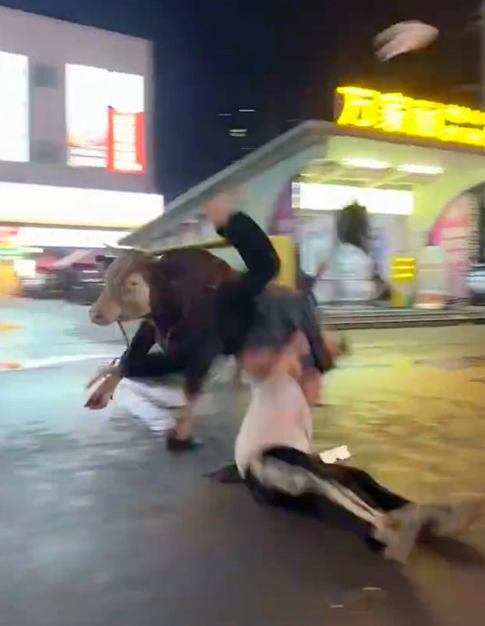 待宰发狂黄牛深夜冲出批发市场 连撞3人后遭警开枪击毙