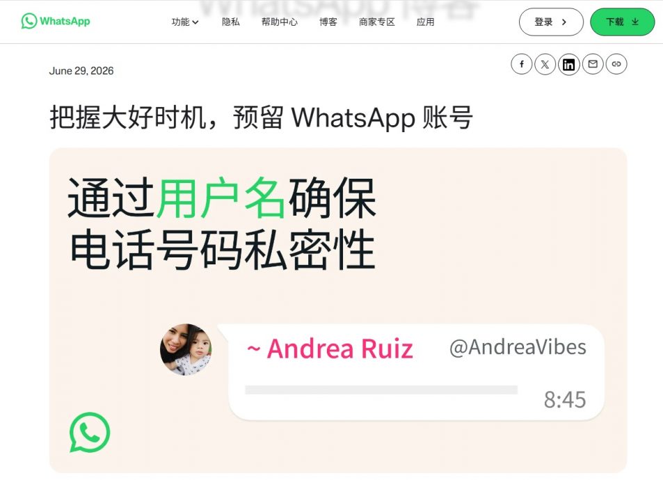 拼盘∕WhatsApp推username功能 免公开手机号电以保障私隐