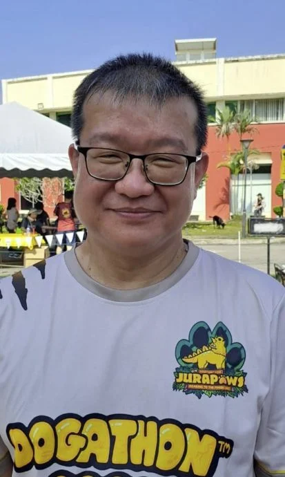 治理流浪动物,TNR是万灵药吗?