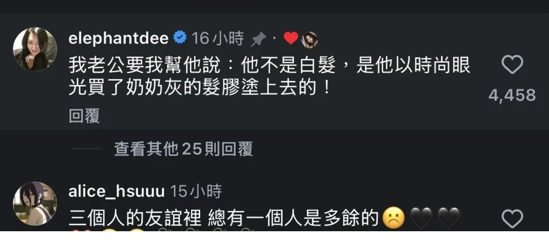 老公许雅钧满头灰发引热议 小S一家游港独缺许老三
