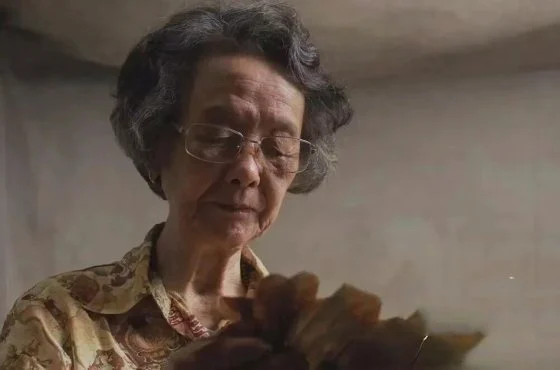 费比安/《给阿嬷的情书》寄自南洋的侨批