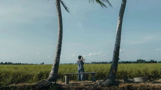 陈伟光/《地母》摇荡在虚实之间的失焦