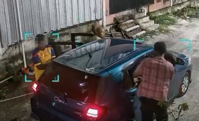 靠网民与警方协助抓捕偷狗贼 饲主寻回失窃三周的幼犬