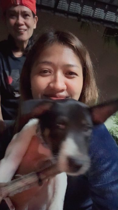 靠网民与警方协助抓捕偷狗贼 饲主寻回失窃三周的幼犬