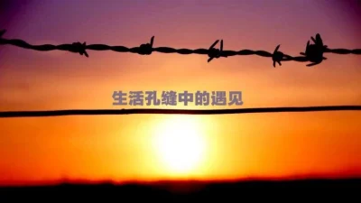 生活孔缝中的遇见 | 蹦跳矮仔干乐-艺术节快成年了，本地艺术家呢？