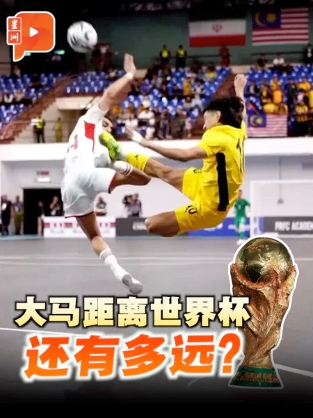世杯100秒｜世界杯扩军后机会翻倍 大马离圆梦还差什么？