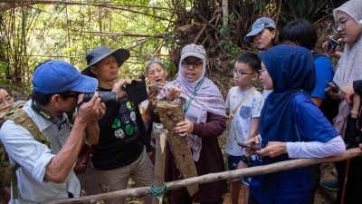 升旗山嘉年华7月17日至19日登场 系列活动与项目接受民众报名