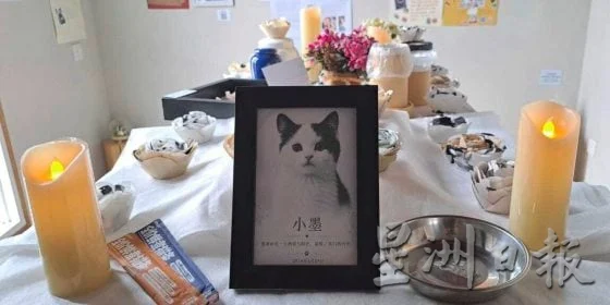 宠物生死展,从告别中学会珍惜