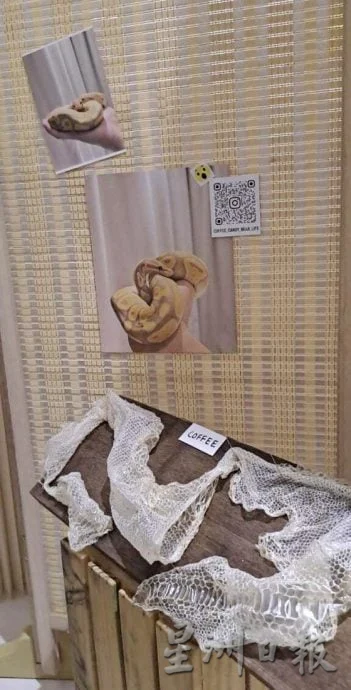 宠物生死展,从告别中学会珍惜