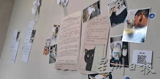 宠物生死展,从告别中学会珍惜