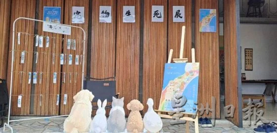 宠物生死展,从告别中学会珍惜